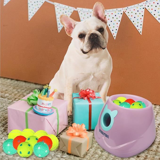 Automatic Dog Ball Launcher, Dog Ball Fetch Machine with Remote Control, Auto Ball Thrower for Small Dogs and Puppies, Pet Self Playing Toys, Indoor and Outdoor Interactive Toys with 10 Balls