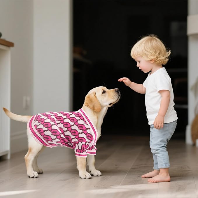 Dynamic Letter Patterned Button Cardigan Dog Sweaters,Boys' Dog Sweater,Girls' Dogs Sweaters,Knitted Pet Clothes,Pet Clothing,Fit for Kinds of Dogs and Different Seasons(Pink S)