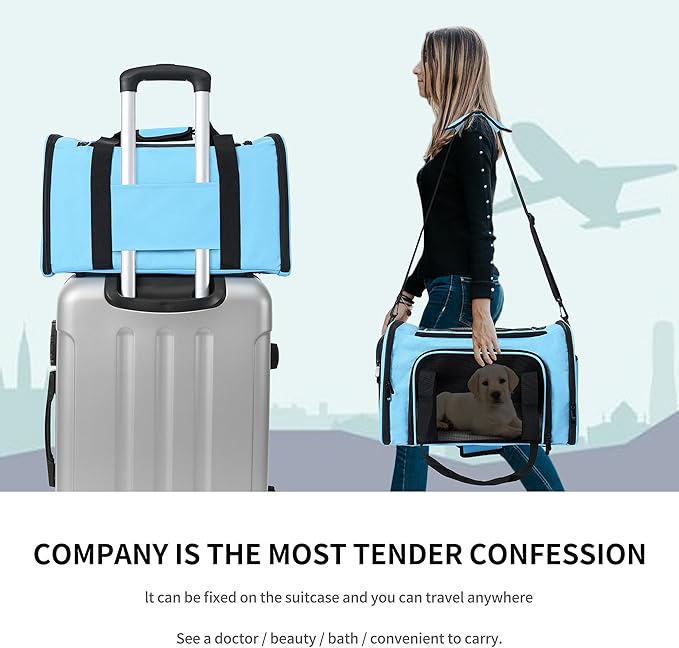 Mile High Life | Outdoor Travel Pet Carrier | Kitty Puppy Cat Carriers | Collapsible Dog Carrier for Small Medium Dogs | Cat Crates w Breathable Mesh with Soft-Sided (Blue, Large)