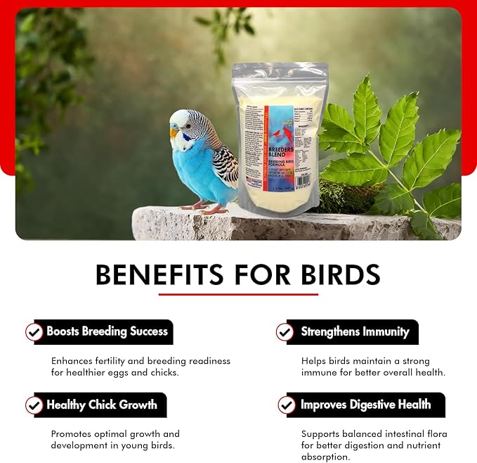 Morning Bird Breeders Blend 1.5 lbs – Protein Supplement for Birds – Supports Breeding, Chick Growth, Muscle Development & Immune Support – Daily Vitamin Blend for Strong Bones & Overall Health
