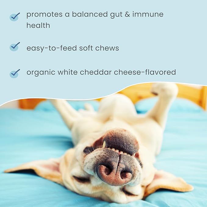 Dr. Mercola Bark & Whiskers Gut Restore Bites, 6.34oz (180 g), Supports Digestive and Immune System, Non-GMO