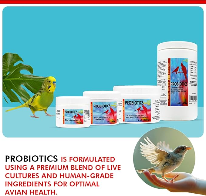 Morning Bird Probiotics for Birds 16 oz– Digestive Health Supplement with Supports Gut Balance, Nutrient Absorption & Immune Support – Easy Mix Powder Supplement for All Bird Species