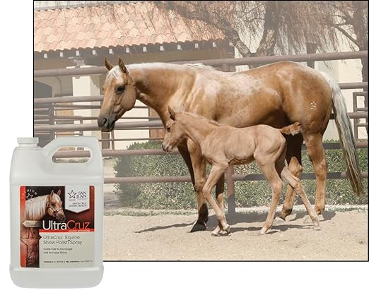 UltraCruz Equine Show Polish® Spray, 1 Gallon