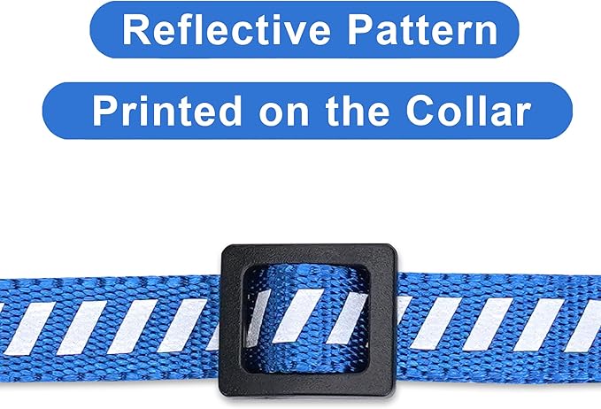 Pawtitas Personalized Cat Collar with Safety Buckle and Removable Bell Cat Collar with Name Phone Number Kitten Adjustable Collar Customized Cat Collar | Blue Reflective Collar for Cats