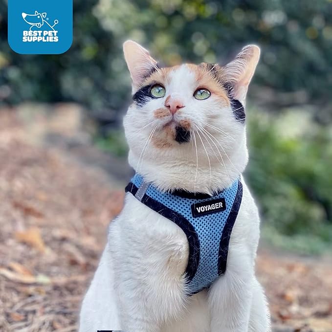 Best Pet Supplies - All Weather Mesh, Reflective, No Pull Harness for Small, Medium Dogs, Cats - Secure with Hook & Loop Fastener, Buckle, Double D-Rings - Baby Blue/Black Trim, XXS