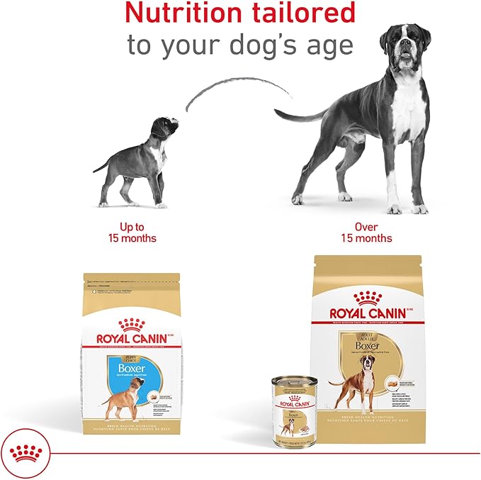 Royal Canin Breed Health Nutrition Boxer Adult Loaf in Sauce Dog Food, 13.5 oz (Pack of 12)