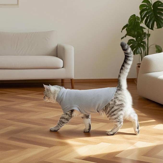 EXPAWLORER Soft Cat Sweater - Sweaters for Cats Only Warm Kitten Clothes, Fall and Winter Pet Coat Pullover Design, Fleece Sweatshirt Clothing Also for Puppy Small Dogs, Grey Small