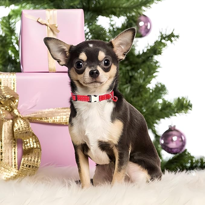 Red Puppy Collar with Bell, Reflective Nylon XS Dog Collars Soft Adjustable Buckle for XXS XSmall Small Dogs Tiny Pets Cats Boy Girl Kitten Yorkie Chihuahua X-Small