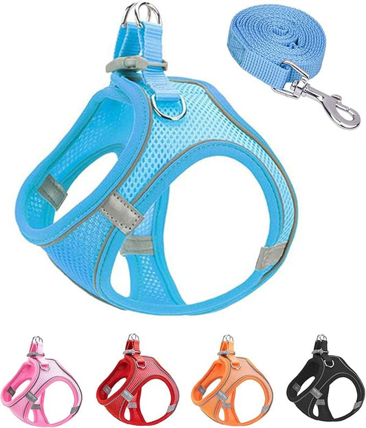 XS Blue Soft Mesh Dog Harness and Leash Set,No Escape Puppy Harnesses for Training Walking, Reflective Adjustable Puppy Vest for Small Medium Dogs, Cats (Blue, XS)