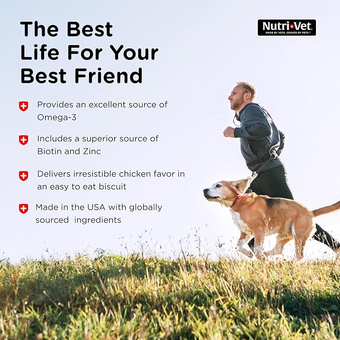 Nutri-Vet Skin & Coat Biscuits for Dogs, Tasty Dog Treat, Skin and Coat Supplement, Small Sized Biscuit, Omega-3 and Biotin, 16 oz