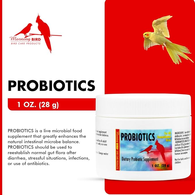 Morning Bird Probiotics for Birds 1 oz– Digestive Health Supplement with Supports Gut Balance, Nutrient Absorption & Immune Support – Easy Mix Powder Supplement for All Bird Species