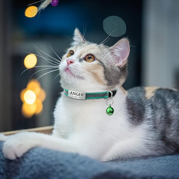 TagME 2 Pack Cat Collar with Name Tag, Personalized Reflective Cat Collar Breakaway with Bell for Boy & Girl Cats, Turquoise