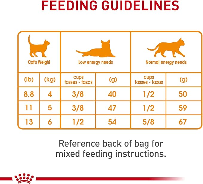 Royal Canin Hair & Skin Care Dry Cat Food, 3 lb bag
