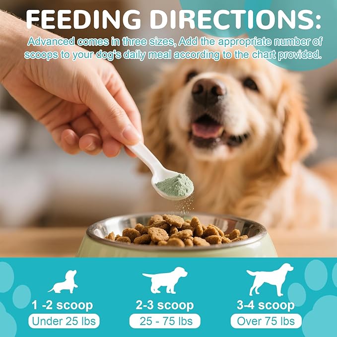 Dog Teeth Cleaning Powder, Dog Dental Powder for Teeth Cleaning and Dog Breath Fresh, Bad Breath Fresher & Tartar Remover with Enzyme, Probiotics. Plaque Off Pet Tooth Cleaning 120 Grams 60 Servings