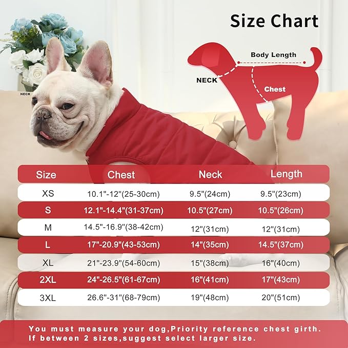 2 Layers Fleece Lined Warm Dog Jacket for Puppy Winter Cold Weather,Soft Windproof Small Dog Coat,Red S