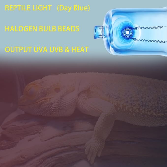 3 Pack UVA UVB Reptile Light Halogen Bulbs Beads Heat Lamp (50 Watt) Day Blue