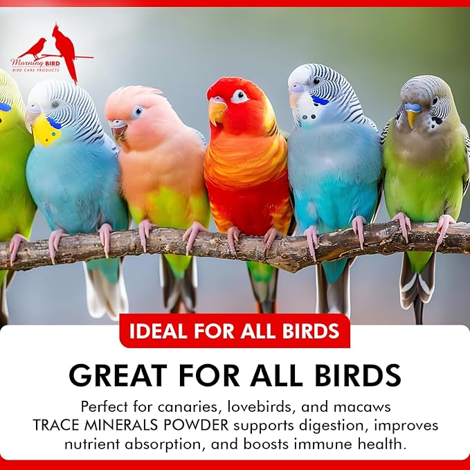 Morning Bird Trace Minerals Powder 3 Oz – Complete Mineral Supplement for Birds – Promotes Energy, Metabolism & Enzyme Activity – Easy to Mix for Daily Vitamin Support.