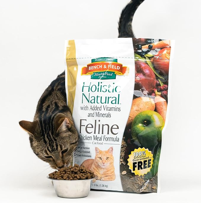 Bench & Field Holistic Natural Premium Adult Dry Cat Food, Chicken Meal and Brown Rice Recipe 3 lb Bags (Pack of 3)