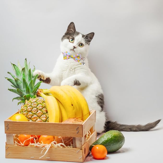 SCENEREAL Breakaway Cat Collar with Bell, 3 Pack Safety Adjustable Cat Collars with Pendant, Personalised Puppy Kitten Collar with Bow for Spring Summer Boys Girls, Pineapple & Lemon & Watermelon