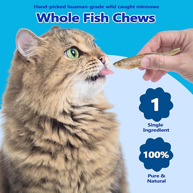 Amzey Minnows - 7 oz Freeze Dried - 100% Natural Premium Cat Treats - Minnows Treats - Freeze Dried Minnows for Cats & Dogs - Bulk Package Minnows (1.6 "to 2.8" Length Each)
