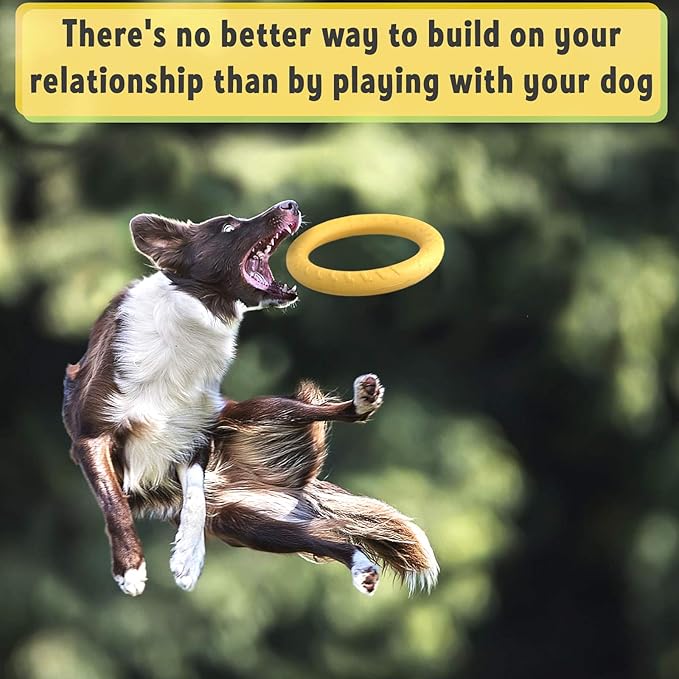 PetSpy Dog Training Ring for Outdoor Fitness Floatable Pulling Toy and Flying Disc Interactive Play Tool for Small Medium Large Dogs