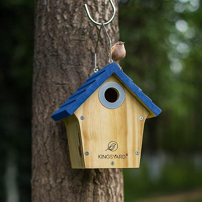 Kingsyard Wooden Wren House with Predator Guard, Bird Nesting for Outdoor, Garden Patio Nest Box Birdhouse for Wild Bird Watching, Royal Blue