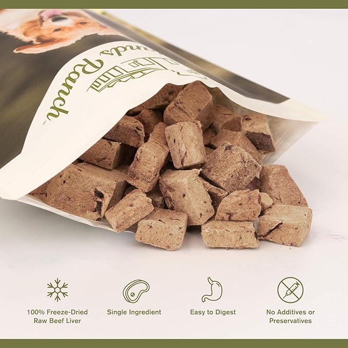 Superfood Bite, Freeze-Dried Raw Dog Treats - Protein Rich, Train & Reward, Traceable Single Ingredient by Katherine Heigl (4 Ounce (Pack of 4) Beef Liver)