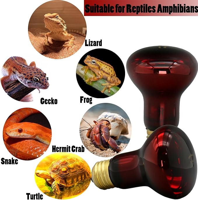 Reptile Heat Lamp Bulb 75 Watt, Infrared Red Heat Light Bulb Basking Spot Lamp for Bearded Dragon, Reptiles Amphibian, Chickens Coop, Lizard, Turtle, Hermit Crab, Leopard Gecko, Snake, 2 Pack