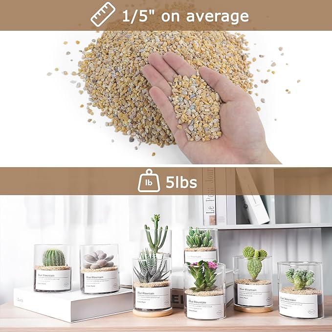 5Lbs Aquarium Gravel, 1/5" Fish Tank Gravel, Succulent Cactus Rocks for Plants Indoor Outdoor, Pea Gravel for Landscaping Vases, Terrarium,Top Dressing, Flower Pots