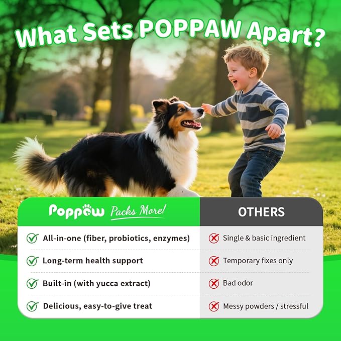 Anal Gland Support Chews for Dogs - with Pumpkin, Digestive Enzymes & Probiotics for Dog Gut Health - Scoot Treatment, Constipation, Deters Stool Eating, Odor Control - Chicken Flavor-60 Count