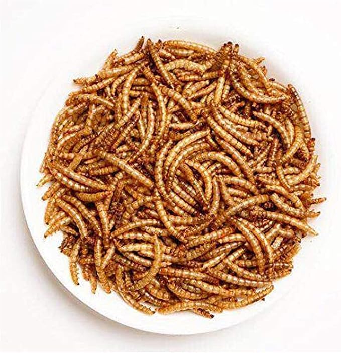 Amzey Appetizing Mealworms 5 LBS- 100% Non-GMO Dried Mealworms - Large Meal Worms - High Protein Treats- Perfect Mealworm for Chickens, Ducks, Turtles, Blue Birds, Lizards - Bag of Mealworms 5 LBS