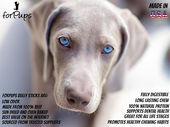 Regular 1 Pound of (8โ) Bully Sticks for Medium & Small Dogs, for Sensitive & Medium Chewers (16 oz) Natural & Fully Organic, 100% Beef Pizzle, Fully Digestible Dental Treats (8 inch, 1 lb)