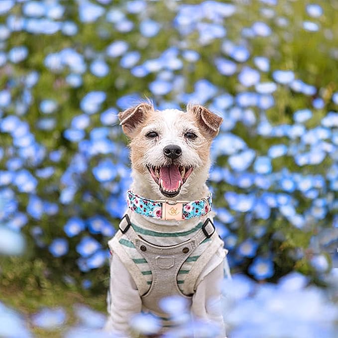 Elegant Little Tail Pink Floral Print Summer Dog Collar - Cotton, Durable, Metal Buckle - Large Dogs, Blue Flower