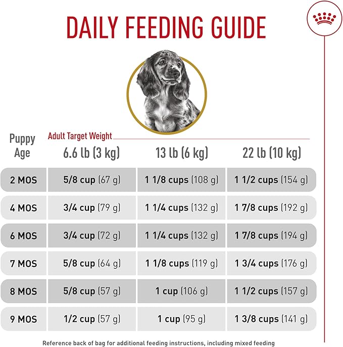 Royal Canin Breed Health Nutrition Dachshund Puppy Dry Dog Food, 2.5 lb Bag