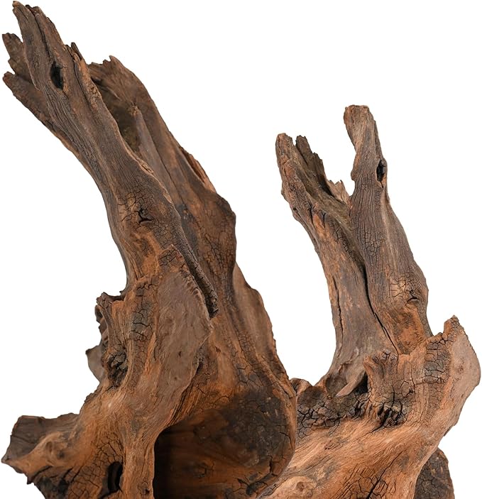 Natural Driftwood Spider Wood Branches Fish Tank and Reptile Terrarium Decor Assorted Sizes for Aquariums and Lizard Habitats (11-14 inch (Pack of 2), Mopani Driftwood)