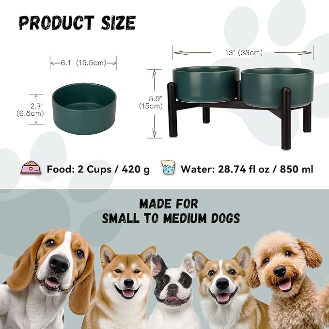 Raised Ceramic Dog Bowl Set - Elevated Double Dishes with Stainless Steel Stand - Food and Water Bowls for Small to Medium Dogs - Each Holds 2 Cups (28.75 fl oz) - Green