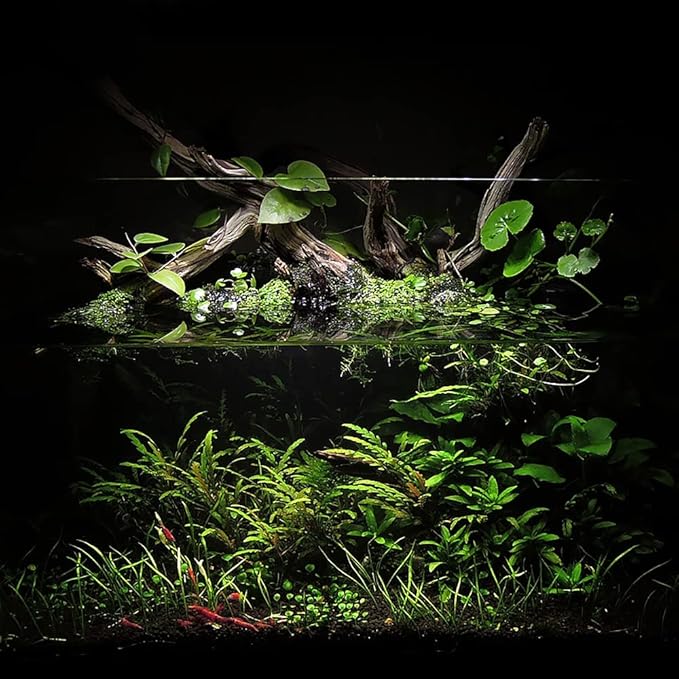 Ultum Nature Systems Controsoil - Freshwater Aqua Soil Substrate for Fish, Shrimp, Live Plant Propagation and Aquascaping - 6.8pH Low Ammonia, Volcanic Ash - Black, Extra Fine (10 Liter | 20LB)