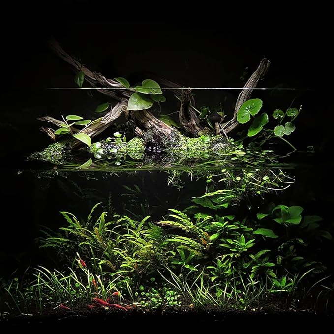 Ultum Nature Systems Controsoil - Freshwater Aqua Soil Substrate for Fish, Shrimp, Live Plant Propagation and Aquascaping - 6.8pH Low Ammonia, Volcanic Ash - Black, Fine (3 Liter | 6LB)
