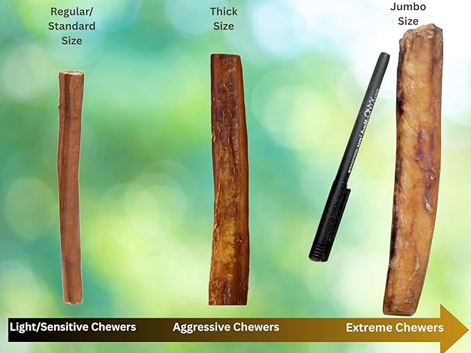Thick 6" Bully Sticks (2 POUNDS) for Large & Medium Dogs, for Aggressive Chewers, Natural & Fully Organic, 100% Beef Pizzle Dog Chew, Fully Digestible Dental Treats (6 inch, 2 lb / 32 oz)