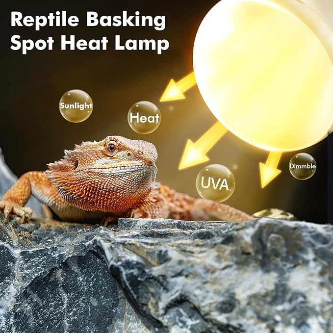 Reptile Heat Lamp, 100W Heat Lamp Bulbs for Reptiles 2 Pack, Amphibians Basking Heat Lamp Bulbs, UVA Daylight Basking Light for Reptiles, Bearded Dragon, Lizard, Turtle, Chicken