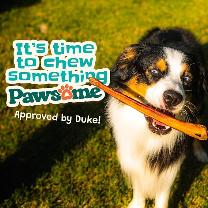 6-7" (1 lb - 454g) Bully Sticks for Dogs - Natural Single Ingredient Dog Treats for Small/Medium/Large Dogs - Long-Lasting Dog Chews - Promotes Dental Health - Premium Bully Sticks