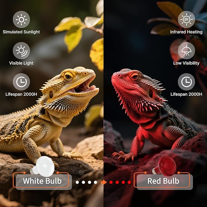 ALAMPEVER 2 Pack Reptile Heat Bulb, 75W Basking Light for Bearded Dragon, E26 Base, Durable Basking Bulb for Amphibian, Lizard, Tortoise, Gecko
