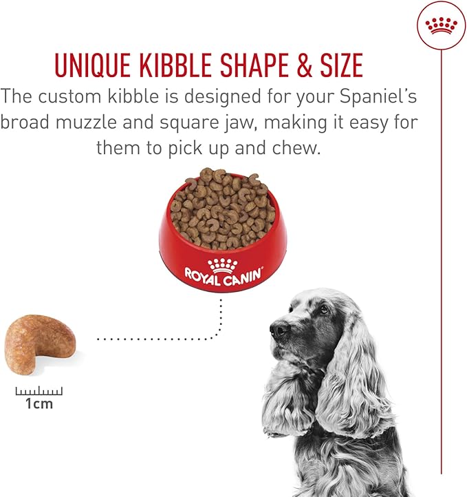 Royal Canin Cocker Spaniel Adult Dry Dog Food, 6 lb bag