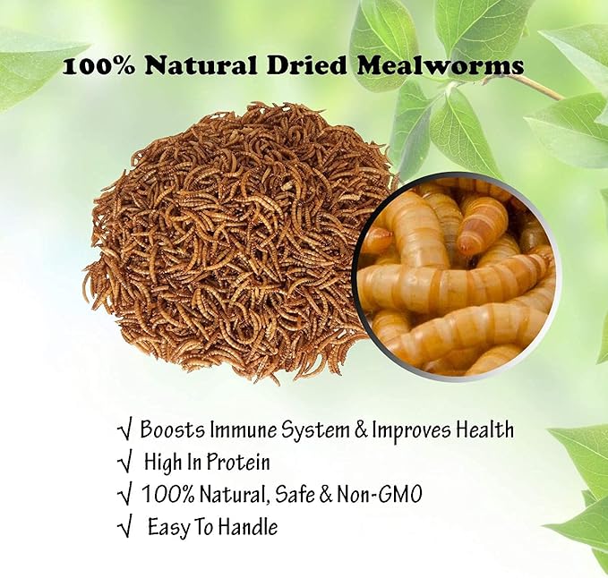 Amzey Appetizing Mealworms 5 LBS- 100% Non-GMO Dried Mealworms - Large Meal Worms - High Protein Treats- Perfect Mealworm for Chickens, Ducks, Turtles, Blue Birds, Lizards - Bag of Mealworms 5 LBS