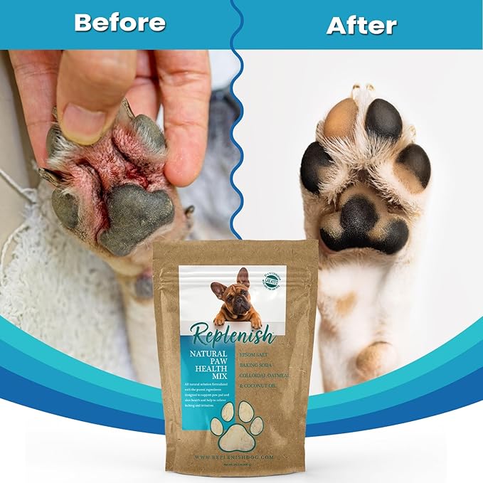 Replenish Dog Paw Healing Solution β All Natural Epsom Salt for Dogs Paws - Medicated Paw Soaking Solution & Moisturizer for Dry Cracked Paws - Epsom Salt Treatment - Spa Paw Protection for Dogs