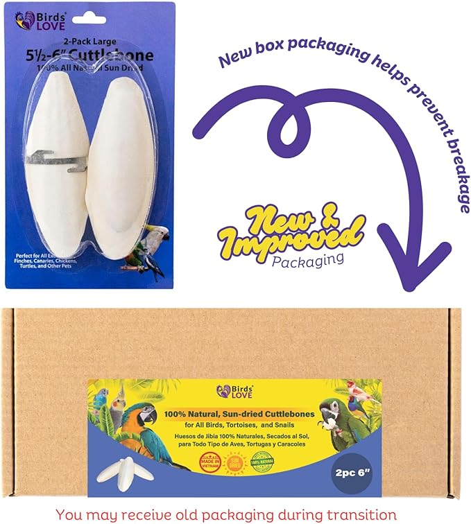 Birds LOVE Natural Cuttlebone | 100% Pure Sun-Dried Calcium Supplement for Birds, Tortoises, Snails & Crabs | Supports Beak & Shell Health | Easy to Chew | 2 Pack, Size 5.5 to 6"