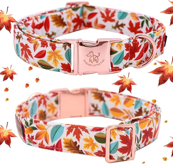 Elegant little tail Fall Dog Collar, Autumn Leaves Pet Collar Durable Dog Collars Male or Female Holiday Pet Gift Adjustable Dog Collar for Large Dogs