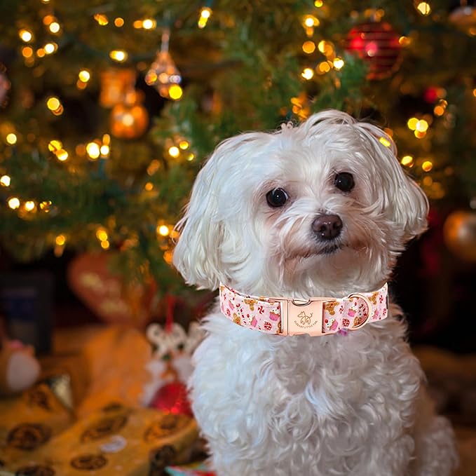 Elegant little tail Dog Collar, Christmas Pink Gingerbread Man Print Pet Collar Cute Dog Collars Male or Female Pet Gift Adjustable Dog Collar for Small Dogs