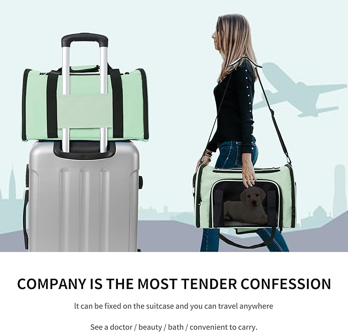 Mile High Life | Outdoor Travel Pet Carrier | Kitty Puppy Cat Carriers | Collapsible Dog Carrier for Small Medium Dogs | Cat Crates w Breathable Mesh with Soft-Sided (Green, Medium)