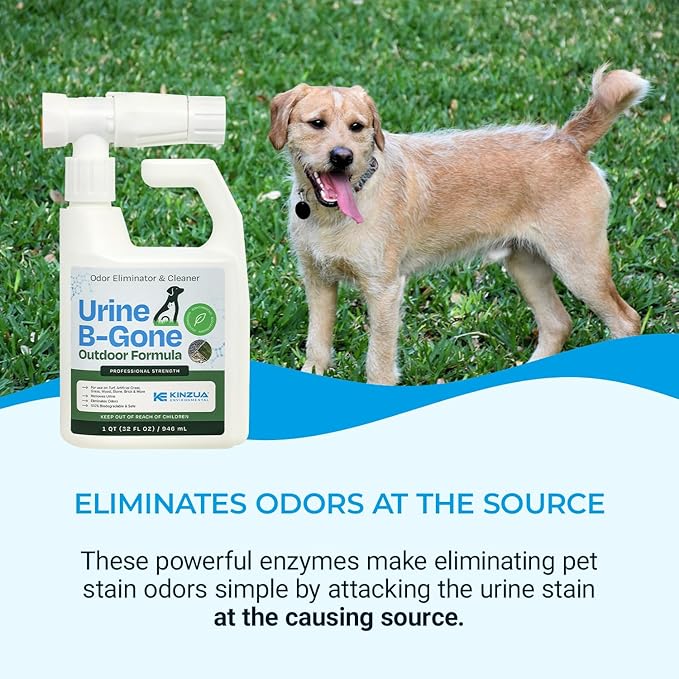 KINZUA ENVIRONMENTAL Urine B-Gone OD Professional Pet Urine Enzyme Cleaner, Pet Yard Odor Eliminator for Artificial Grass, Concrete & More, 32 fl oz